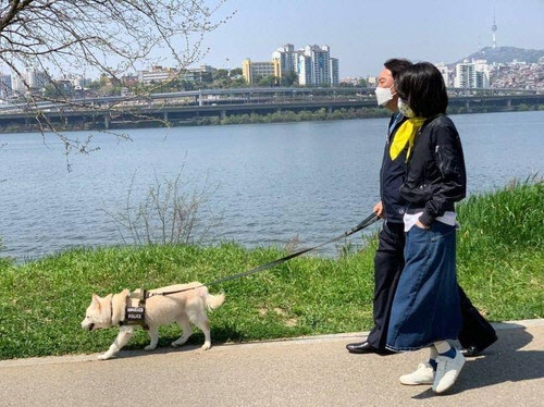 윤석열 대통령 당선인과 부인 김건희 여사가 애완견을 데리고 반포한강공원을 산책하는 모습. <김건희 공식 팬카페 캡처>